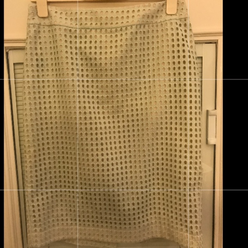Ann Taylor Skirt light green with nude